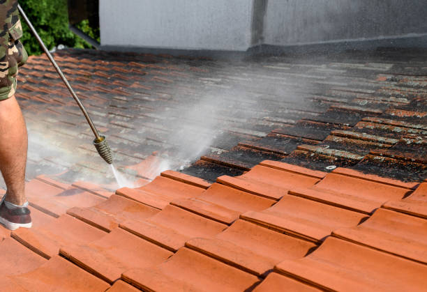 Best Best Pressure Washing Companies  in Davis Junction, IL