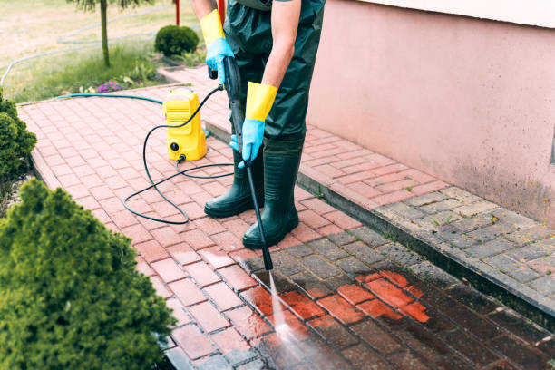 Best Deck Pressure Washing  in Davis Junction, IL