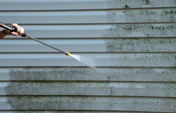 Best Deck Pressure Washing  in Davis Junction, IL