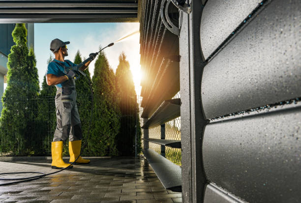Best Affordable Pressure Washing  in Davis Junction, IL