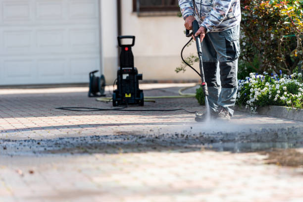 Best Garage Pressure Washing  in Davis Junction, IL