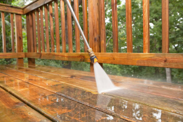 Best Pressure Washing Near Me  in Davis Junction, IL