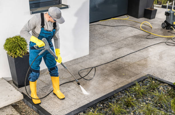 Best Roof Power Washing Services  in Davis Junction, IL
