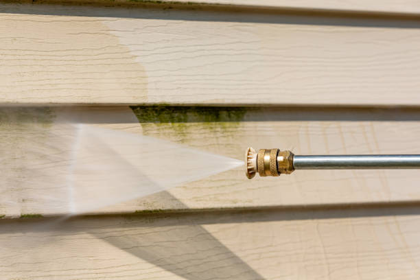 Best Deck Pressure Washing  in Davis Junction, IL