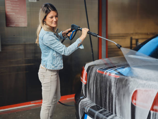 Best Affordable Power Washing  in Davis Junction, IL